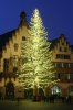 Weihnachtsbaum_Römerberg.jpg