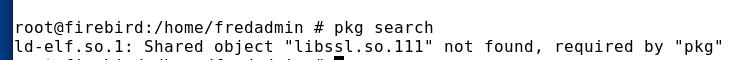 FreeBSD 14 pkg Fehler.png
