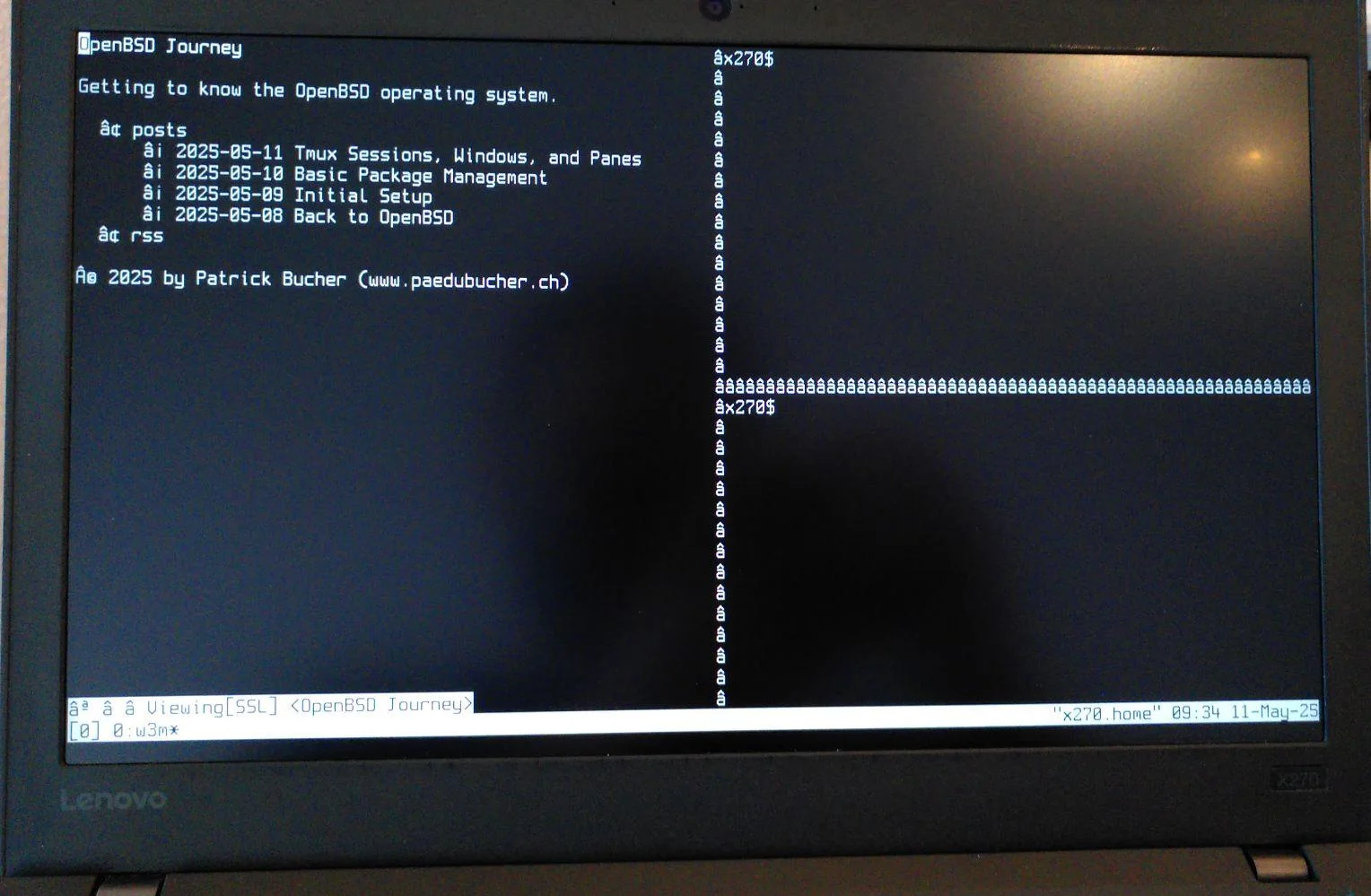 openbsd-terminal-tmux.webp