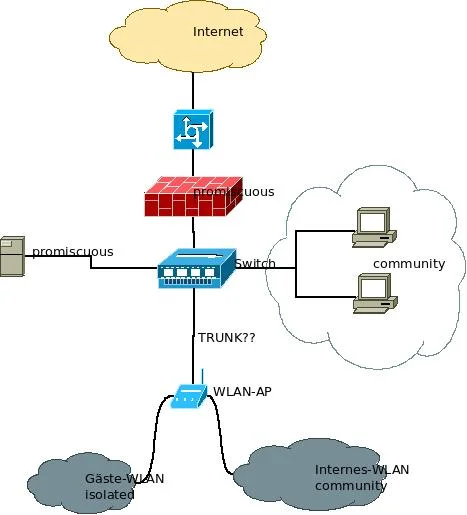 trunk.webp
