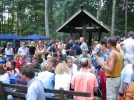 scheerwald2.webp