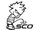 small-sco.webp