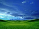 bliss.webp