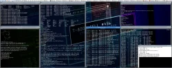 termback.webp
