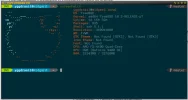 orange.webp