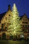 Weihnachtsbaum_Römerberg.webp