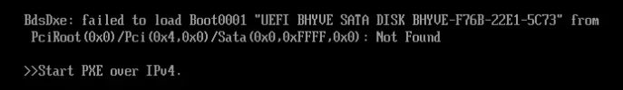 haiku.webp