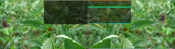 screenshot-2021.09.07-193746.webp