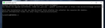 WSL2_2024-06-04_171746.webp