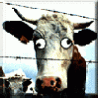 MadBSE