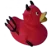 Tohuwabohu!