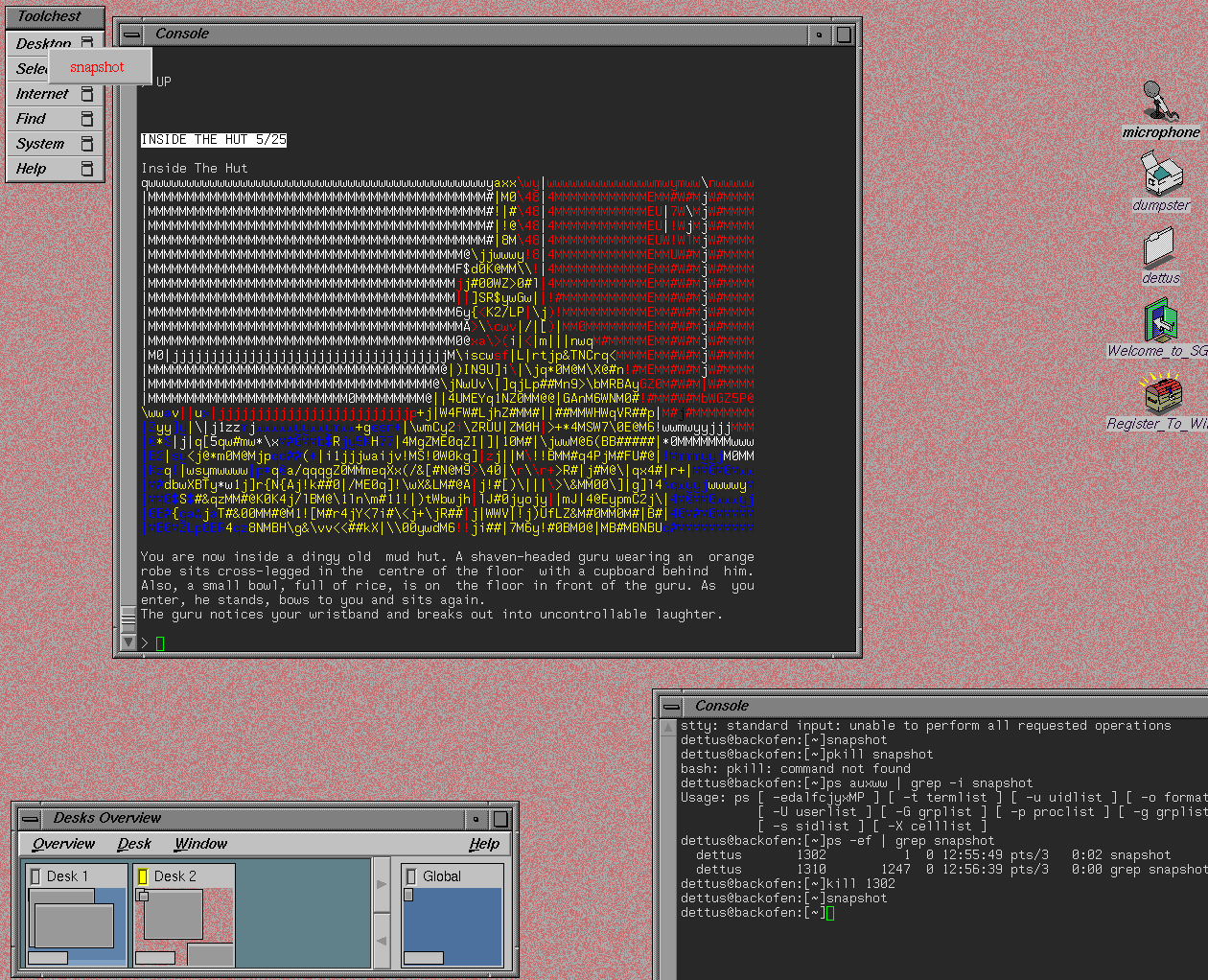 sgi_irix_pawn.png